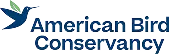 American Bird