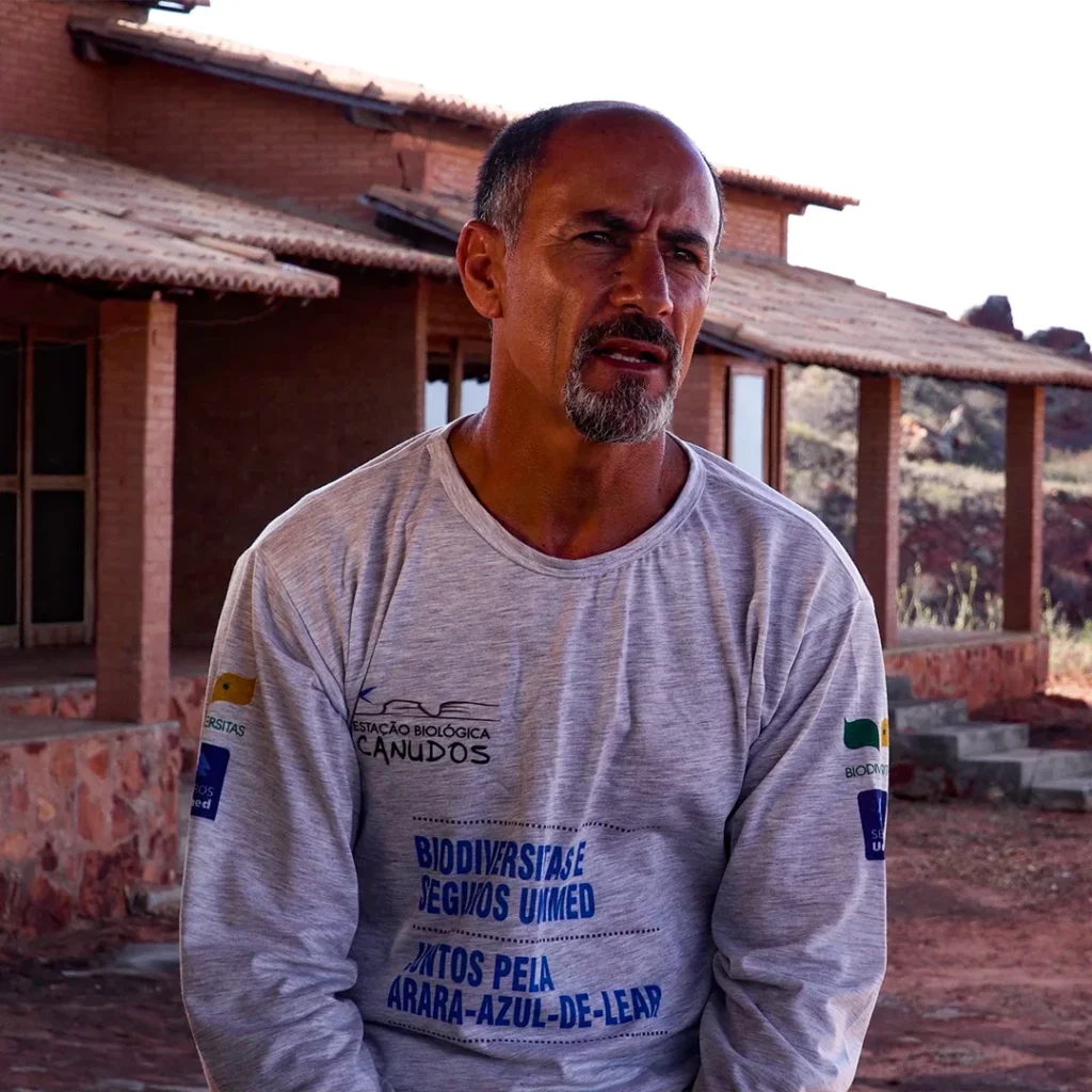 A redescoberta da arara-azul-de-lear.